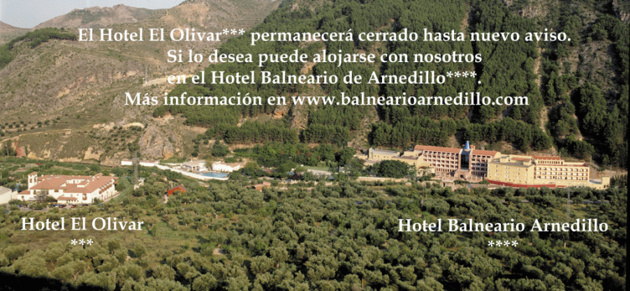 Ir a balnearioarnedillo.com